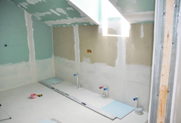 Best Attic Mold Removal  in Denmark, WI