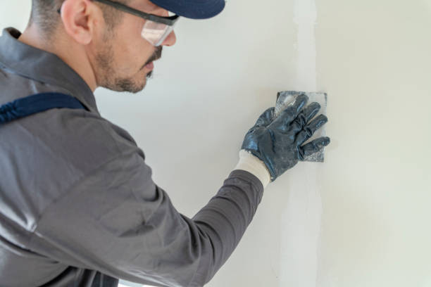 Trusted Denmark, WI Mold Removal Experts