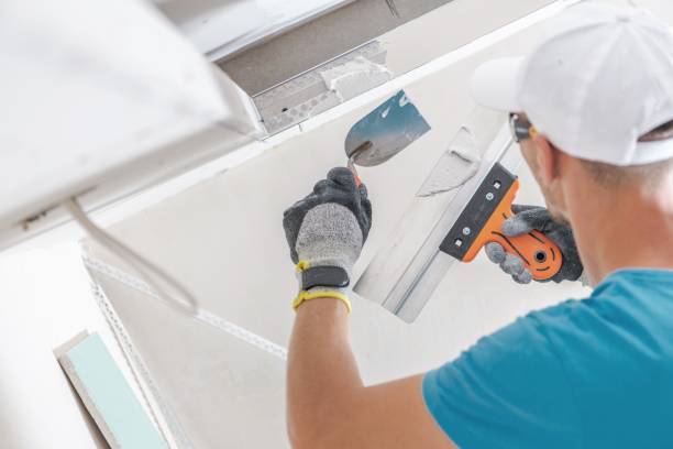 Best Comprehensive Air Testing for Mold Contaminants  in Denmark, WI